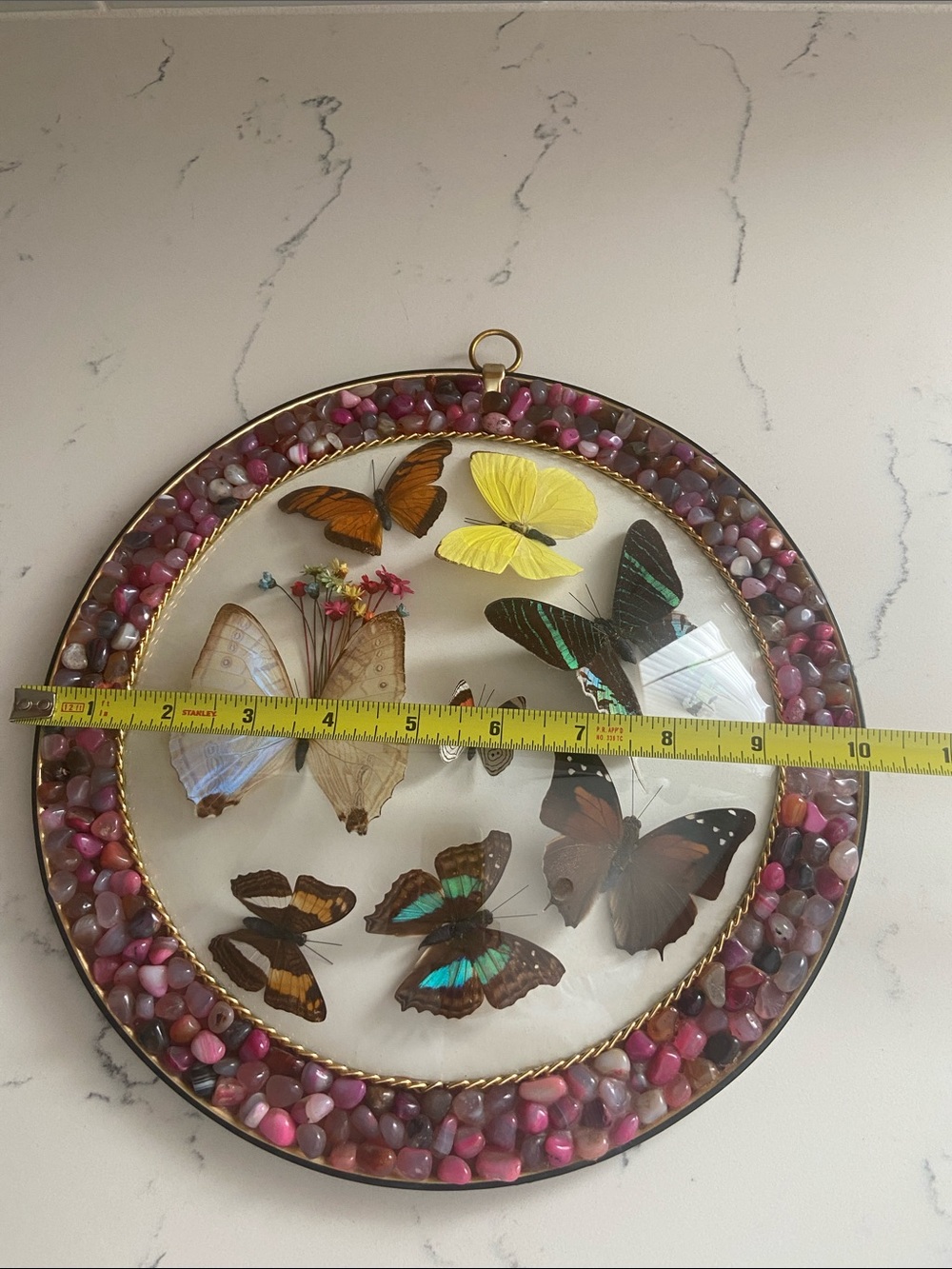Vintage Peru Real Butterfly Specimen Wall Art Stone 10" - Picture 8 of 9